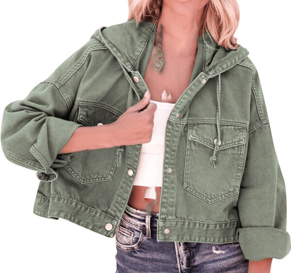 coat-crop-brand-zara